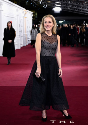 photo 29 in Gillian Anderson gallery [id1340422] 2024-01-07 00:00:00