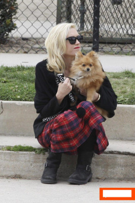 Gwen Stefani pic #599046