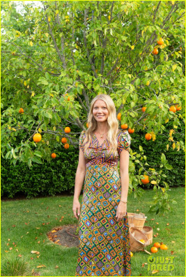 photo 8 in Paltrow gallery [id1049935] 2018-07-10 00:00:00