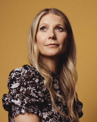 Gwyneth Paltrow pic #1178066