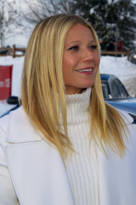 Gwyneth Paltrow pic #890415