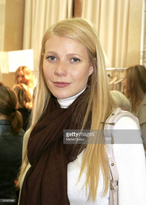 Gwyneth Paltrow pic #877781