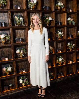 Gwyneth Paltrow pic #894533