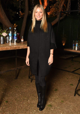 Gwyneth Paltrow pic #906345