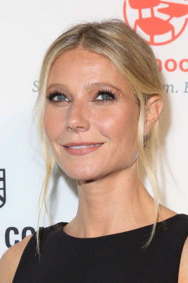 photo 17 in Gwyneth Paltrow gallery [id891949] 2016-11-14 00:00:00