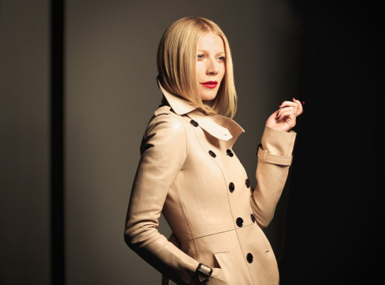 Gwyneth Paltrow pic #873514