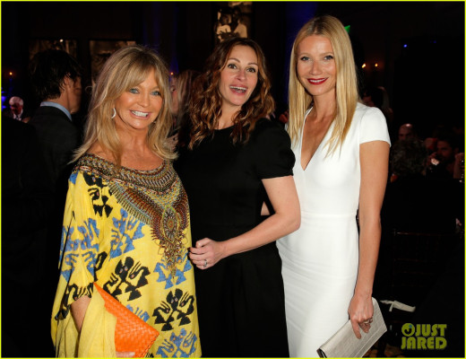 Gwyneth Paltrow pic #897811