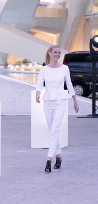 Gwyneth Paltrow pic #876243