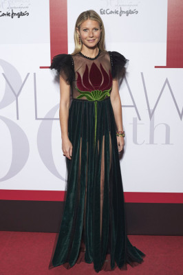 Gwyneth Paltrow pic #892507