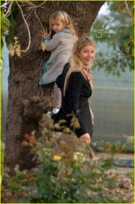 Gwyneth Paltrow pic #895578