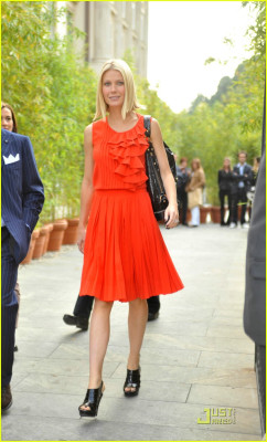 Gwyneth Paltrow pic #890043