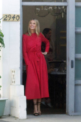 photo 17 in Paltrow gallery [id1215452] 2020-05-20 00:00:00
