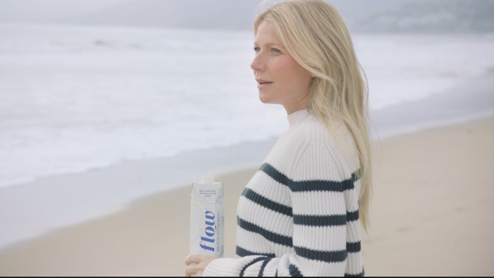 photo 18 in Gwyneth Paltrow gallery [id1169840] 2019-08-22 00:00:00