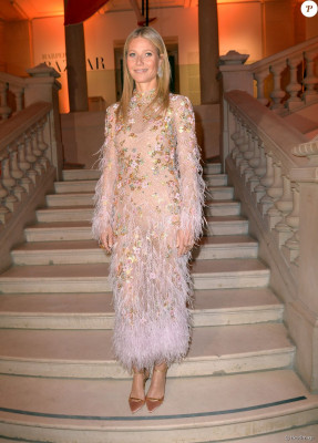 Gwyneth Paltrow pic #1208079