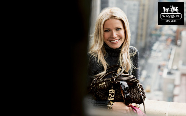 Gwyneth Paltrow pic #622409