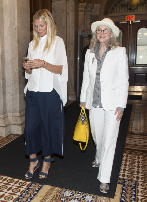 Gwyneth Paltrow pic #790081