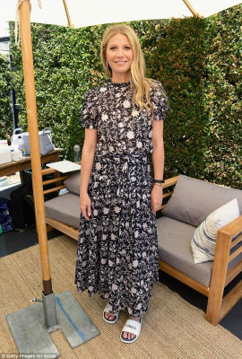 Gwyneth Paltrow pic #1043851