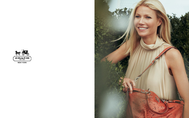 Gwyneth Paltrow pic #622412