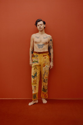 photo 21 in Harry Styles gallery [id1240196] 2020-11-17 00:00:00