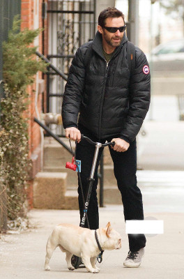 Hugh Jackman pic #680601