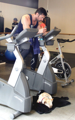 photo 29 in Hugh Jackman gallery [id716581] 2014-07-11 00:00:00
