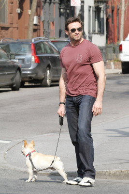 photo 17 in Hugh Jackman gallery [id691423] 2014-04-22 00:00:00
