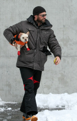Hugh Jackman pic #337160