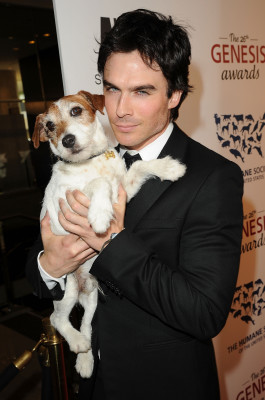 Ian Sommerhalder pic #465844