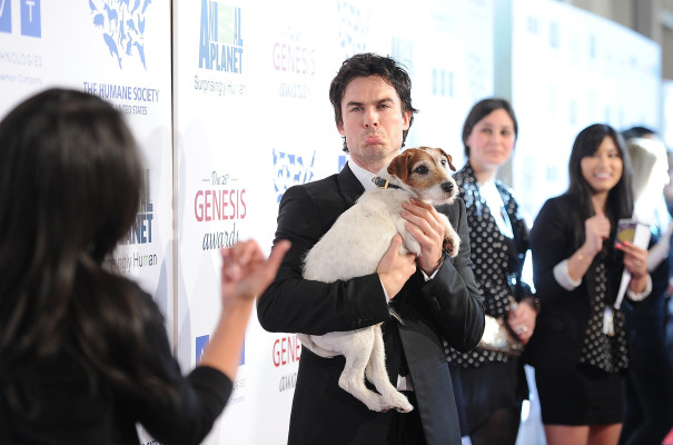 Ian Sommerhalder pic #465842
