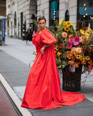 Irina Sheik pic #1240981