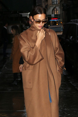 Irina Sheik pic #1010654