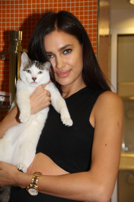 Irina Sheik pic #655688