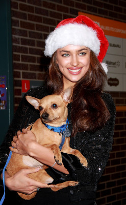 Irina Sheik pic #428866