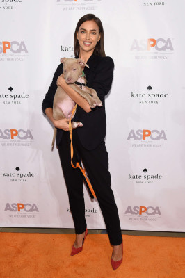 Irina Sheik pic #804882