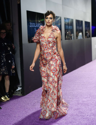 Irina Sheik pic #833146