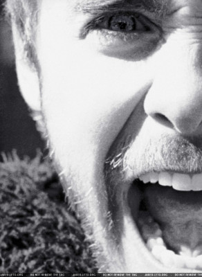 Jared Leto pic #42789