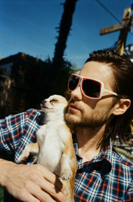 photo 8 in Jared gallery [id1271347] 2021-09-24 00:00:00