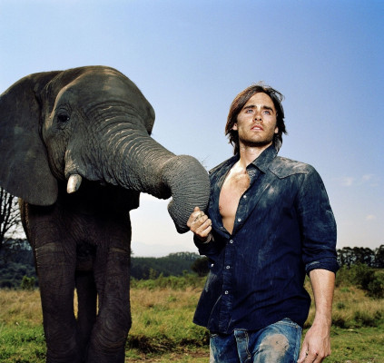 Jared Leto pic #981432
