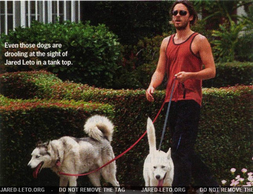 Jared Leto pic #43566
