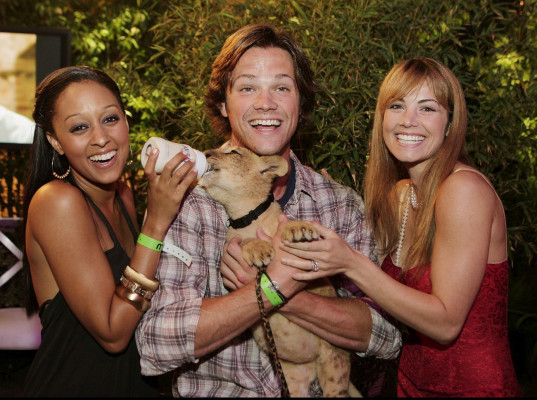 Jared Padalecki pic #413453