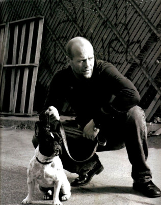 photo 23 in Statham gallery [id127782] 2009-01-16 00:00:00