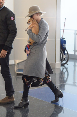 Jennifer Lawrence pic #993829
