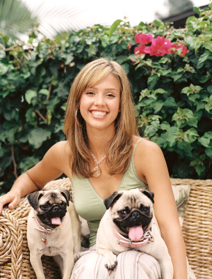 Jessica Alba pic #324247