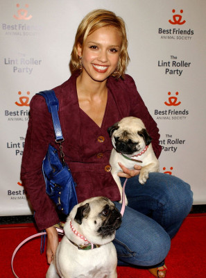 Jessica Alba pic #35702