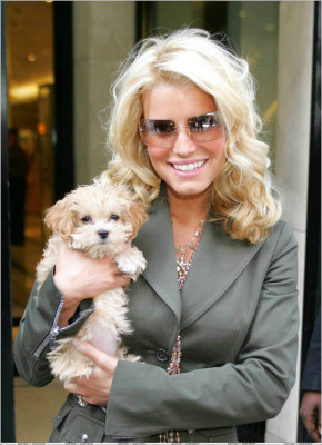 photo 14 in Jessica Simpson gallery [id29112] -0001-11-30 00:00:00