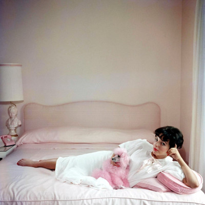 Joan Collins pic #186625