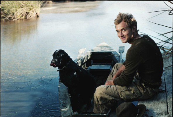 Jude Law pic #81445
