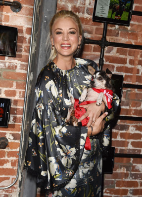 photo 15 in Kaley Cuoco gallery [id970071] 2017-10-11 00:00:00