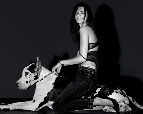 Kendall Jenner pic #781913