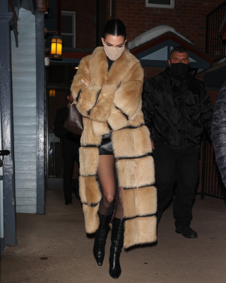 photo 9 in Kendall Jenner gallery [id1294231] 2022-01-24 00:00:00